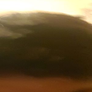 Meet your Posher, Adrian